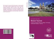 Capa do livro de Bistum Tournai 