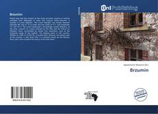Bookcover of Brzumin