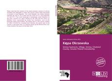 Kępa Okrzewska kitap kapağı