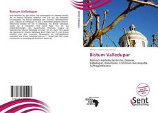 Bistum Valledupar kitap kapağı