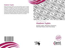 Capa do livro de Vladimir Tsybin 