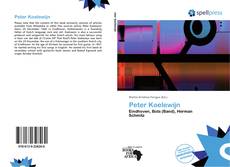 Portada del libro de Peter Koelewijn