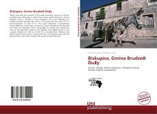 Biskupice, Gmina Brudzeń Duży的封面