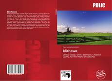 Bookcover of Blichowo