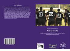 Capa do livro de Ned Roberto 