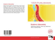 Capa do livro de Vladimír Zábrodský 