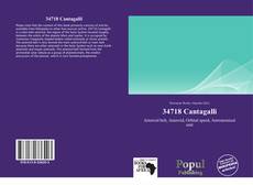 Portada del libro de 34718 Cantagalli