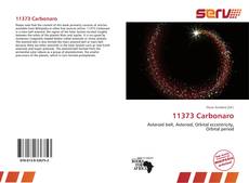 Bookcover of 11373 Carbonaro