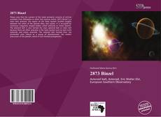 Buchcover von 2873 Binzel