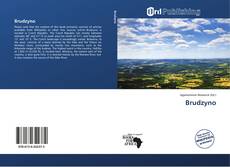 Portada del libro de Brudzyno