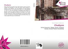 Bookcover of Chudzyno