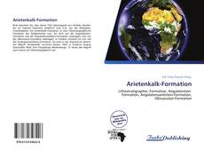 Arietenkalk-Formation kitap kapağı