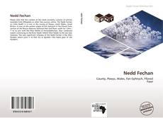 Buchcover von Nedd Fechan