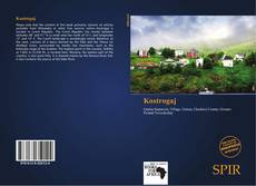 Couverture de Kostrogaj