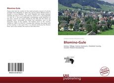 Błomino-Gule kitap kapağı