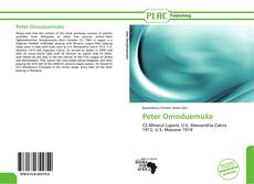 Capa do livro de Peter Omoduemuke 