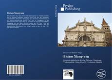 Buchcover von Bistum Xiangyang