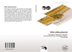 Buchcover von Bitis olduvaiensis