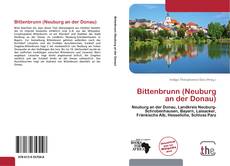 Portada del libro de Bittenbrunn (Neuburg an der Donau)