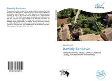 Capa do livro de Dawidy Bankowe 