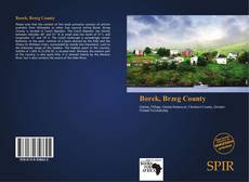 Capa do livro de Borek, Brzeg County 