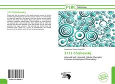 Buchcover von 3113 Chizhevskij