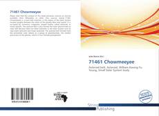 Copertina di 71461 Chowmeeyee