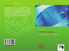 Bookcover of 13777 Cielobuio