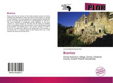 Buchcover von Branice