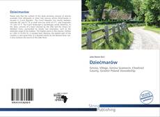 Couverture de Dziećmarów