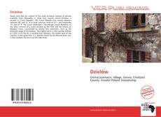 Couverture de Dzielów