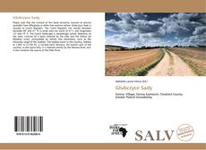 Capa do livro de Głubczyce Sady 