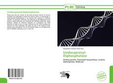 Buchcover von Undecaprenyl-Diphosphatase