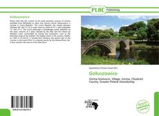 Buchcover von Gołuszowice