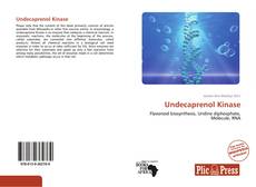 Capa do livro de Undecaprenol Kinase 