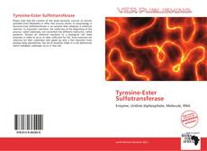 Capa do livro de Tyrosine-Ester Sulfotransferase 