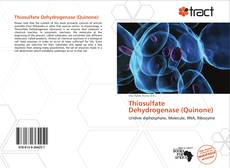 Copertina di Thiosulfate Dehydrogenase (Quinone)