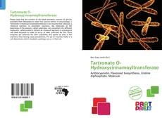 Copertina di Tartronate O-Hydroxycinnamoyltransferase