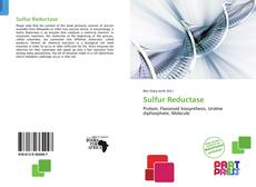 Capa do livro de Sulfur Reductase 