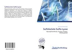 Sulfolactate Sulfo-Lyase kitap kapağı