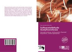 Borítókép a  Sulfoacetaldehyde Acetyltransferase - hoz