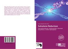 Capa do livro de Sulcatone Reductase 