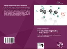 Portada del libro de Succinyldiaminopimelate Transaminase