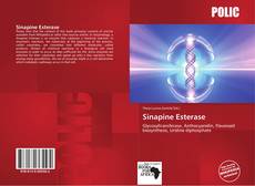 Bookcover of Sinapine Esterase