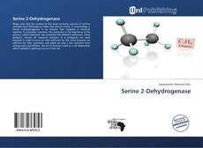 Copertina di Serine 2-Dehydrogenase