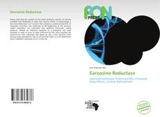 Buchcover von Sarcosine Reductase