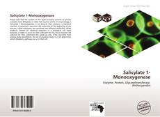 Salicylate 1-Monooxygenase kitap kapağı