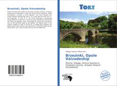 Capa do livro de Brzezinki, Opole Voivodeship 