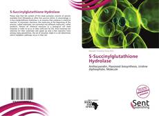 Capa do livro de S-Succinylglutathione Hydrolase 