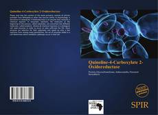 Copertina di Quinoline-4-Carboxylate 2-Oxidoreductase